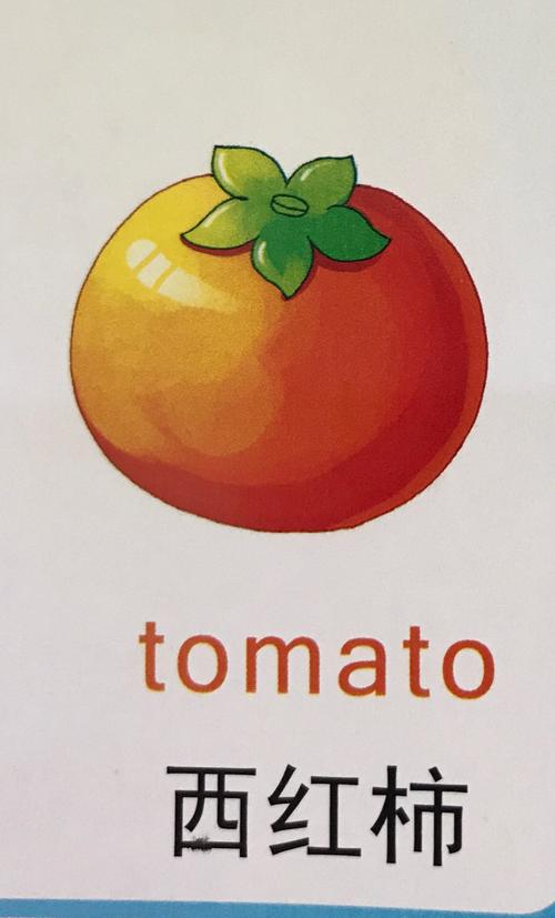 番茄的英文