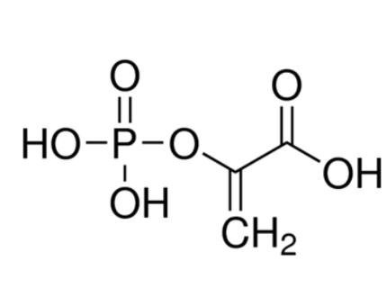 磷酸烯醇式丙酮酸